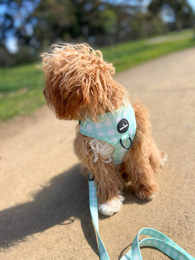 Dog Harness - Bebe Luxe